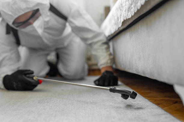 Professional Termite Control technician working in St. Peter, MN