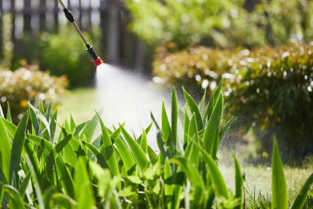 24/7 Emergency Termite Control experts in St. Peter, MN