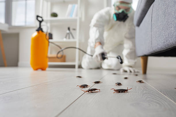 Trusted Rodent Control service in St. Peter, MN - Nex Pest Control